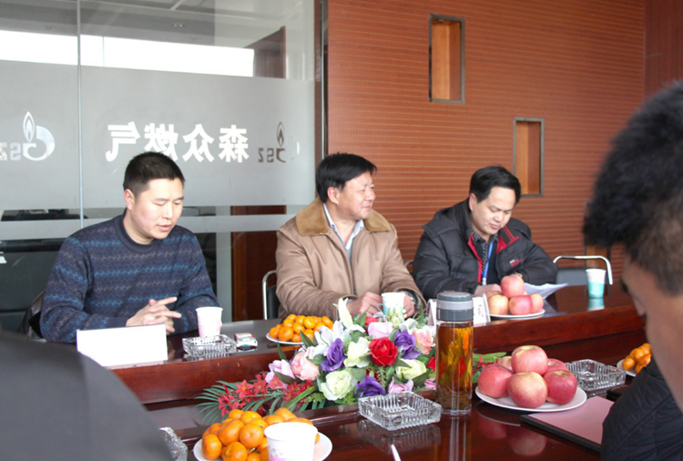 林口县政府与乐鱼官方网站-乐鱼(中国)燃气项目洽谈.png